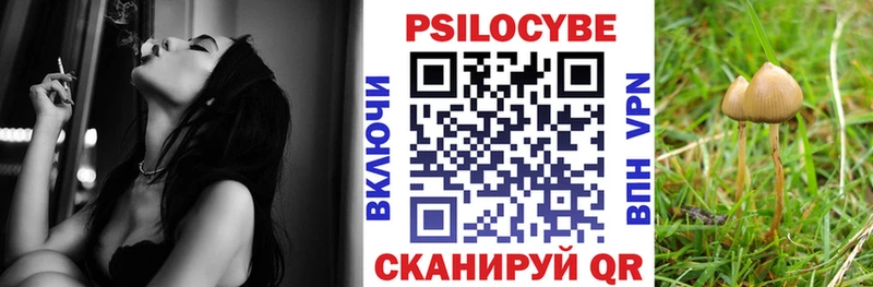 omg вход  Касли  Галлюциногенные грибы прущие грибы  купить  цена 